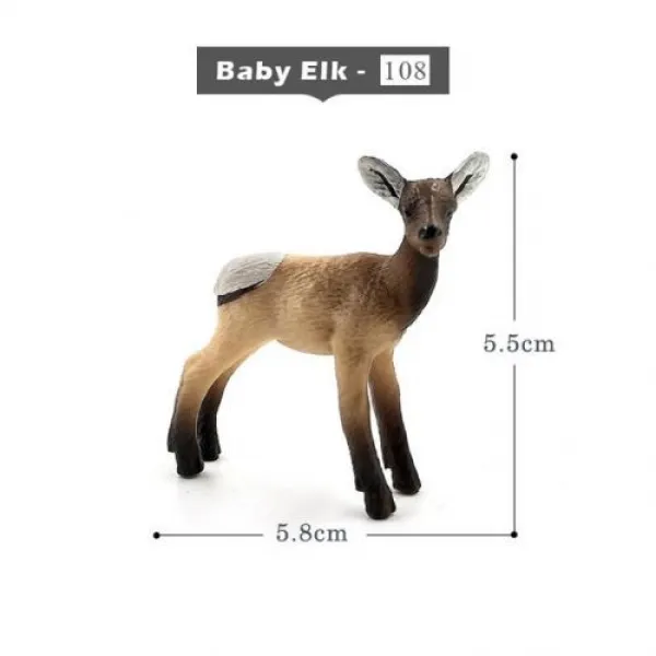 [해외] 사슴 Warthog 살쾡이, Baby Elk