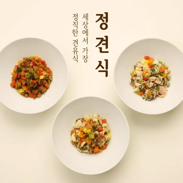 정견식 강아지 자연식 화식 4일분 (8개)