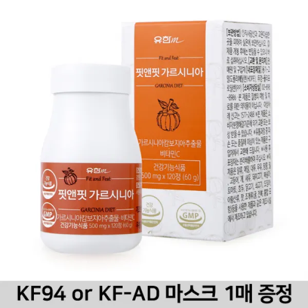 가르시니아 내장 지방 분해 살 빼는 빠지는 법 약 분해 음식 식욕억제 남자다이어트보조제