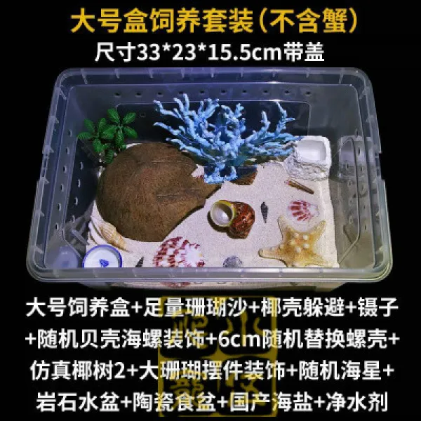 기생게 딸기 회백 반 팔 민물 기거 게 애완동물 관상 망 홍 소 총살 생체초대, 56센치