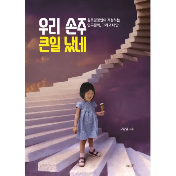 우리 손주 큰일 났네:원로경영인이 걱정하는 인구절벽 그리고 대안, 예미