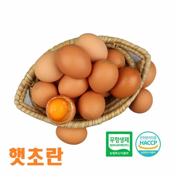 [초란] 알부자집 친환경 무항생제 햇달걀 초란 60구(30구X2판)