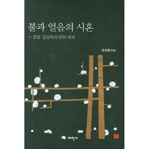 불과 얼음의 시혼:초정 김상옥의 문학 세계, 태학사