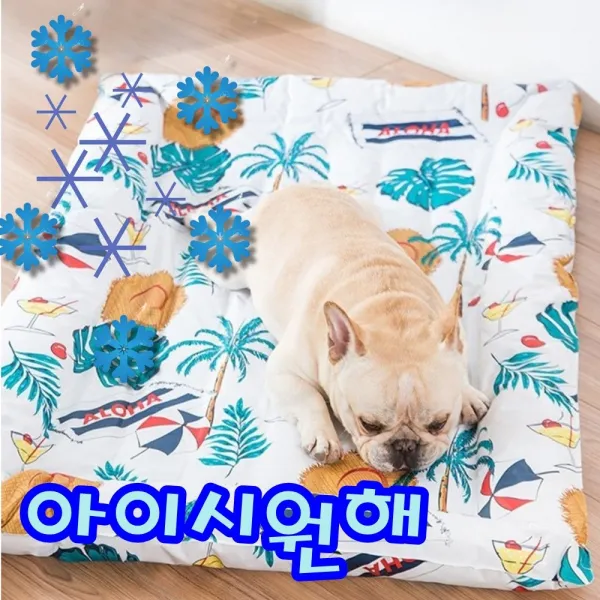 피컴 여름 강아지 애견 고양이 반려견 반려묘 쿨매트 쿨방석 쿨패드