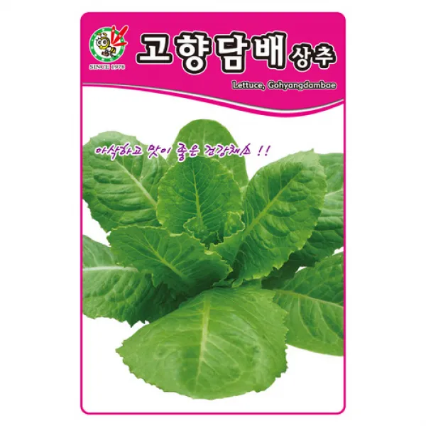 제일 고향담배상추 3000립