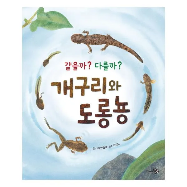 [천개]같을까 다를까 개구리와 도롱뇽(빅북)