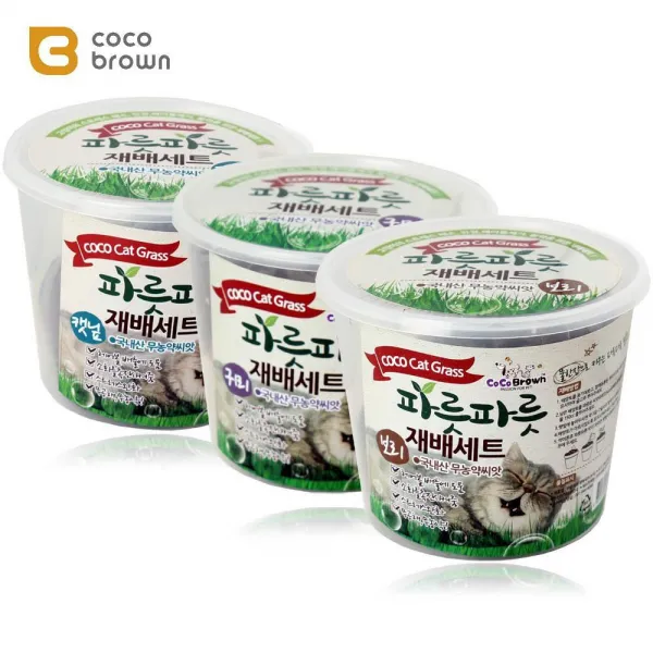 헤어볼 배출돕는 식물 재배세트 5개 귀리키우기 고양이씨앗 고양이풀 캣닢 고양이진정제 고양이캣닢씨앗 캣잎 캣닙, 1개