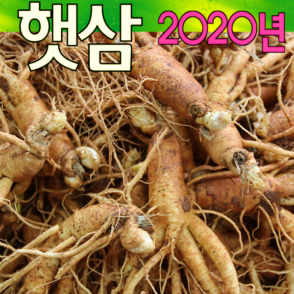 금산인삼아줌마 1호 잔난발삼 500g 산지에서 발송 가정용 수삼 1개 잔난발삼 1호 500g