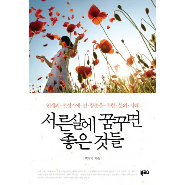 서른 살에 꿈꾸면 좋은 것들:인생의 절정기에 선 청춘을 위한 삶의 지혜, 북포스