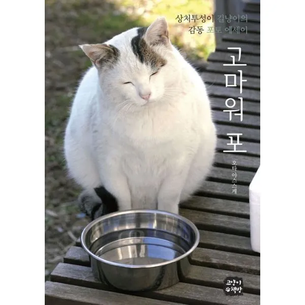 고마워 포 : 상처투성이 길냥이의 감동 포토 에세이, 고양이책방