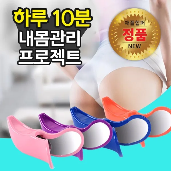 헬스이지 애플힙퍼 케겔운동기구, 애플힙퍼정품확인 한글설명서+오렌지
