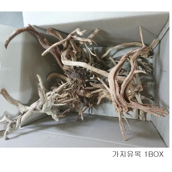 가지유목 대-1BOX(약 5kg내외) 어항장식 유목