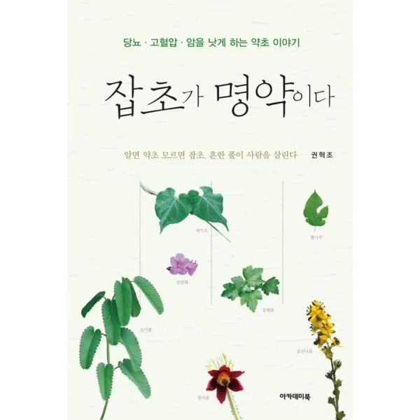 잡초가 명약이다 : 당뇨.고혈압.암을 낫게 하는 약초 이야기