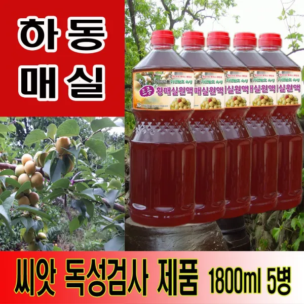 하동 매실원액 지리산산골 3년숙성 토종 황매실원액 1800ml 1800ml 5병
