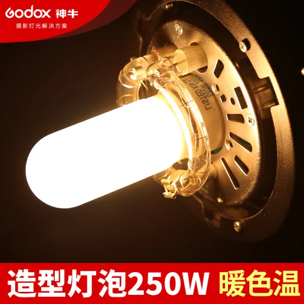 디에이치컴퍼니 황소 150W 조형등 물에 담그다 E27 볼트무늬 250 기와 전구 킴벨 오펠 속상함 U2, 250W 조형등 물에 담그다 E27