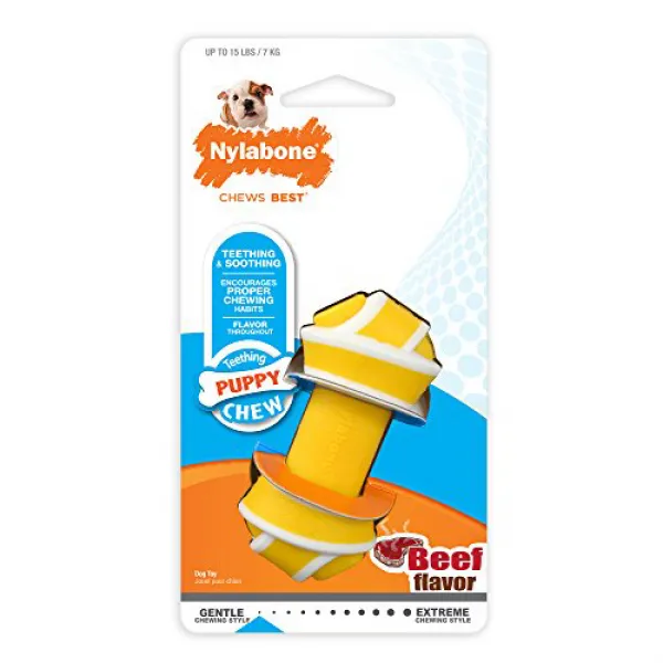 Nylabone Puppy Teething Rawhide Knot Chew Bone Beef Flavor Petite Nylabone 강아지 젖니없는 생가죽 매듭 씹는 뼈 쇠, 1