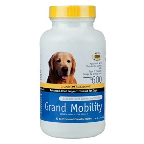 Grand Mobility - Advanced Joint Care Supplement 60 Count 웅대 한 기동성 - 진보 된 합동 배려 보충 교재 60 개입, 1