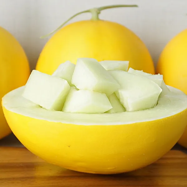 더싱싱 고령직송! 아삭아삭 달달한 양구메론 5kg/10kg 1개 양구메론 10kg