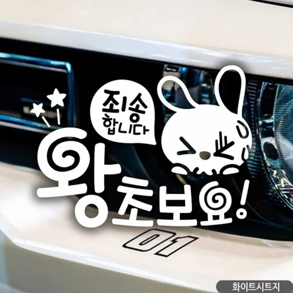 죄송합니다 왕초보요 초보자동차스티커 화이트 차량용스티커, 1개