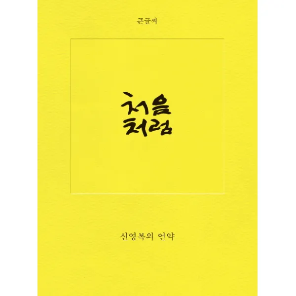 처음처럼 큰글씨 :신영복의 언약 돌베개