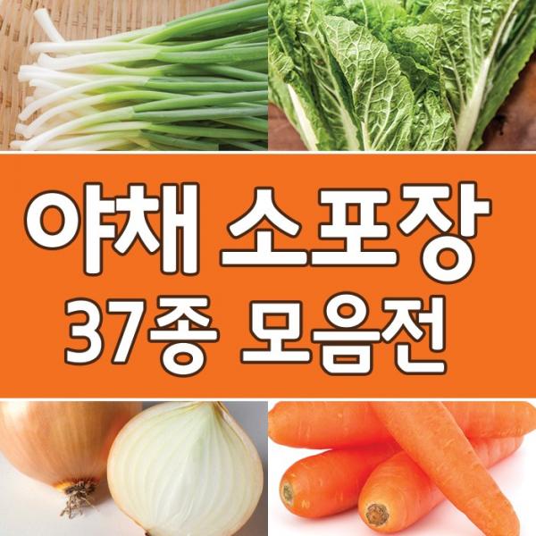 농산다모임 야채 소포장 37종 골라담기 모음전, 1Ea, 22. 양상추 1통