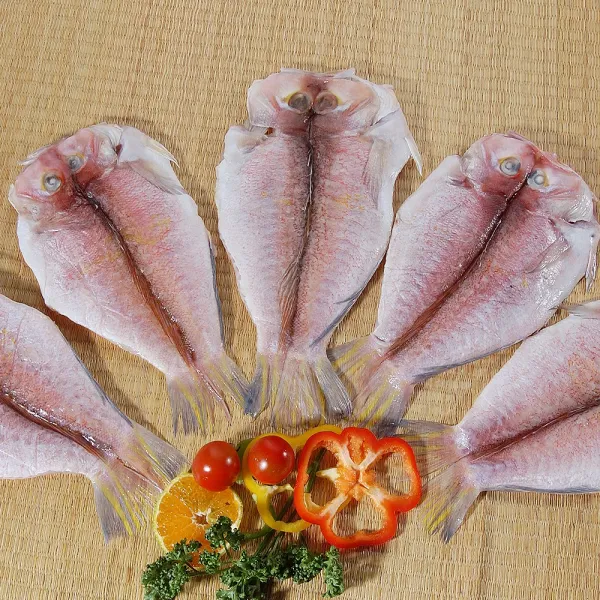 제주다 제주 참옥돔 (중) 2kg (9-10마리), 1박스