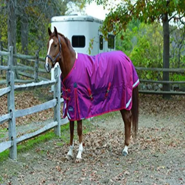 Shires Equestrian Stormcheeta Heavy Weight Turnout Red 72 샤이어 승마 스톰 치타 헤비 웨이트 투표율 레드 72, 1