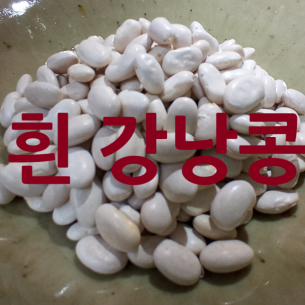 [후계자농산] 수입 미국산 흰 강낭콩 하얀 강낭콩 네이비빈 500g 1kg 식이섬유 다이어트 효능 먹는법