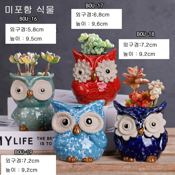 Siteng캐릭터 돼지부엉이다육이 화분 세트D0609활동하다증정미니원예 공구 3종 세트, 사진 색상51+미니원예 공구 3종 세트