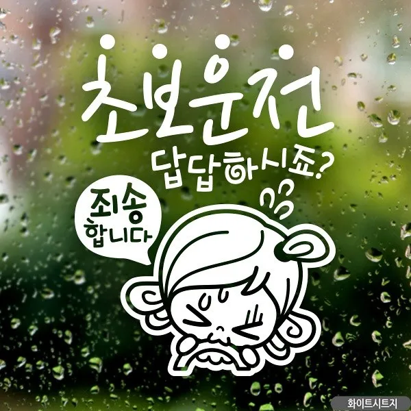 초보답답 초순이 초보운전스티커-화이트