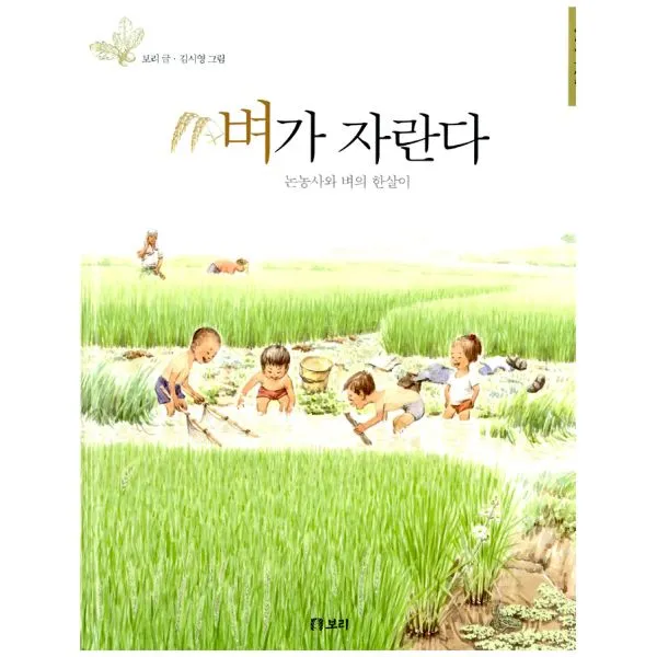 벼가 자란다 : 논농사와 벼의 한살이, 보리