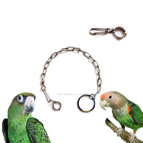 [앵무새발목링] Bird 발목링 10호(아마존 쟈딘 케이프앵무) 앵무새하네스/마카우발목링/코카투발목링/하네스/새발목링/앵무새목줄/새