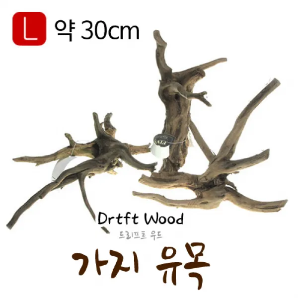 드리프트우드 (가지유목) L사이즈
