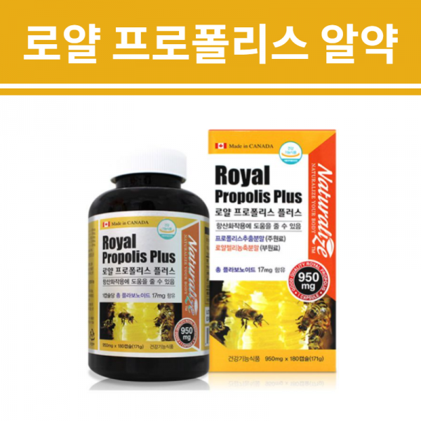 로얄 BEE 꿀 벌 프로폴리스 프로포리스 먹는 캡슐 알약 항산화 제품 환절기 에좋은 음식