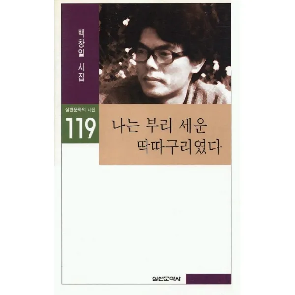 나는 부리 세운 딱따구리였다, 실천문학사