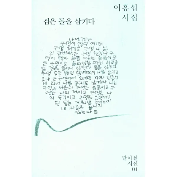 검은 돌을 삼키다:이홍섭 시집, 달아실
