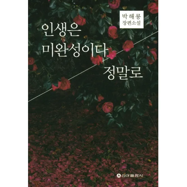 인생은 미완성이다 정말로:박해룡 장편소설, 신아출판사