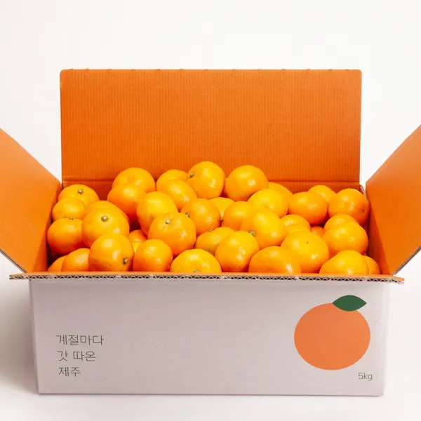 깨비농원 조생 감귤 9kg, 1box, 조생감귤 9kg 소과