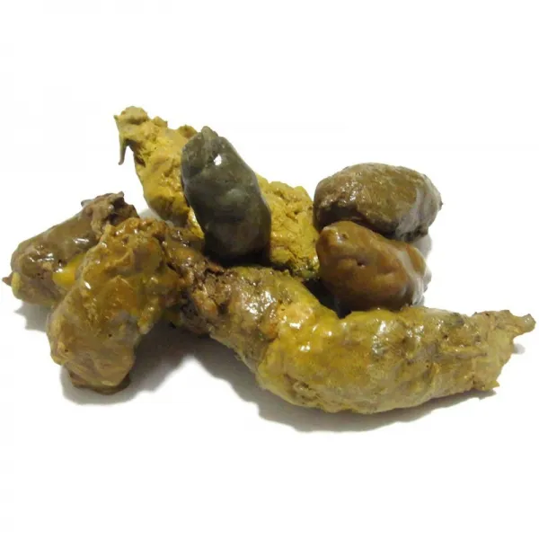 초현실적 똥 강아지 배설물 개 배설물 Fake Dog poop