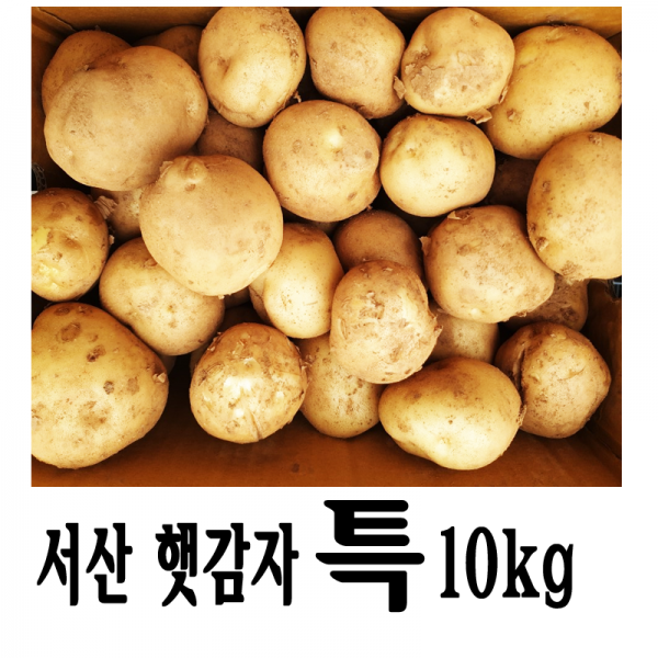 서산 산지직송 햇감자 특10kg 수미감자 무료배송, 1개