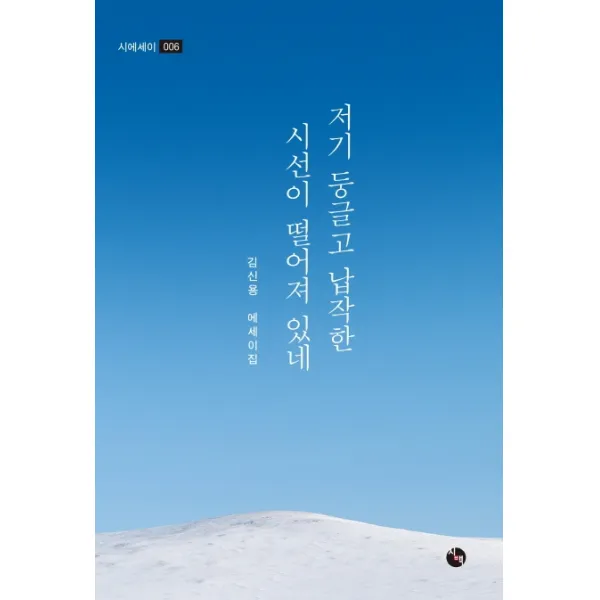 저기 둥글고 납작한 시선이 떨어져 있네 시산맥사