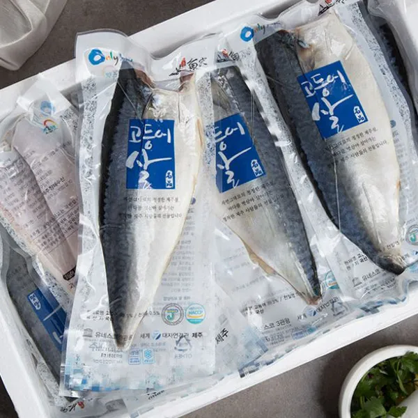 제주창해수산 산지직송! 제주 등푸른 고등어, 10쪽, 중 (120-160g)