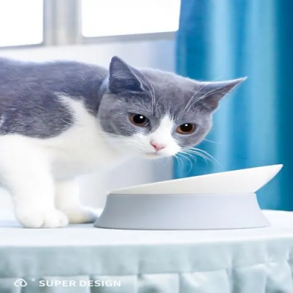 고양이 그릇 개밥 그릇 고양이 음식 고양이 용품 Daquan 개 그릇 식수 고양이 그릇 고양이 음식 그릇 개 애완 동물, 사투리 데칼 오블리크 마우스 보울