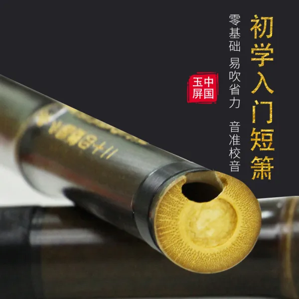 단소 성인 학생 전문 초보입문자 초보자 오죽 퉁소 쉽게부는 1절, T02-단소 8구멍 F조