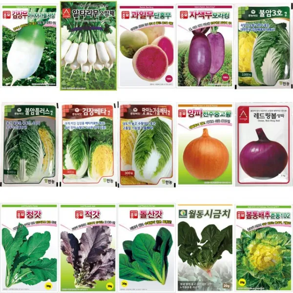 호미닷컴 김장 채소씨앗 김장씨앗 배추씨앗 무씨앗 야채씨앗 수박무 항암 나물 꽃 허브 잔디 쌈채소 씨앗 김장08. 과일무