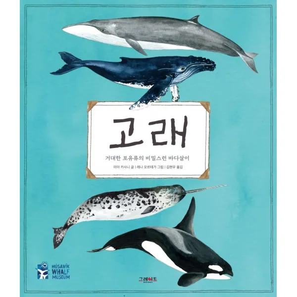 고래:거대한 포유류의 비밀스런 바다살이, 그레이트북스