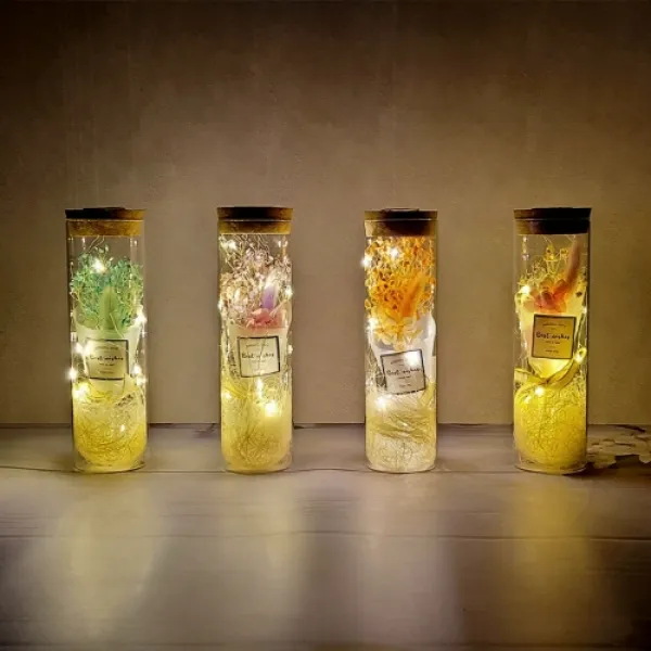 메나스타 LED 꽃유리병 무드등 프리저브드플라워 미니 말린 안개꽃다발 여자친구 선물 드라이플라워, 2.오렌지