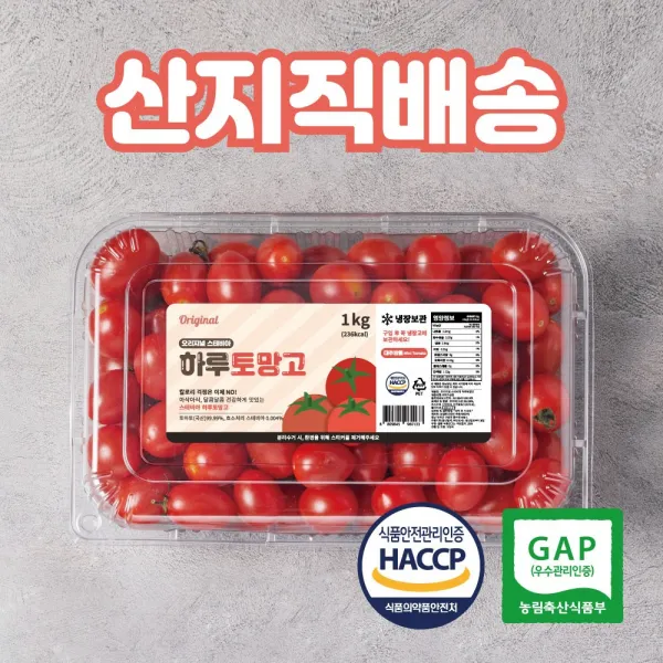 [피삼십일] 고당도 스테비아 방울 토마토 하루 토망고 1kg X 1팩 2팩