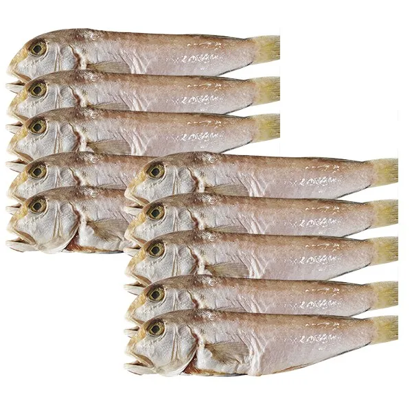 갯마을 7번 제주통옥돔 10마리 마리당200~250g, 1개, 10마리(마리당200-250g)