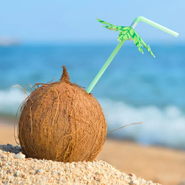  R&f 베트남 코코넛 1박스 9과 1과당 500~600g 나무빨대 동봉 단품